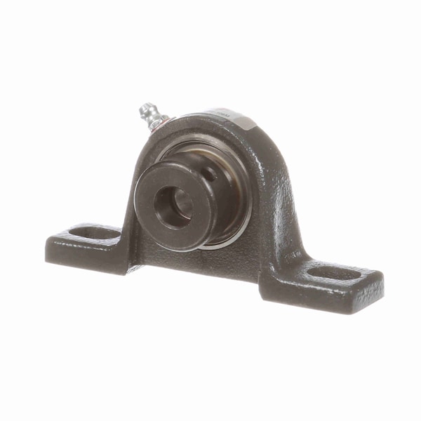 Mounted Ductile Iron Two Bolt Pillow Block Ball Bearing - 52100 Bearing Steel - Eccentric Lock